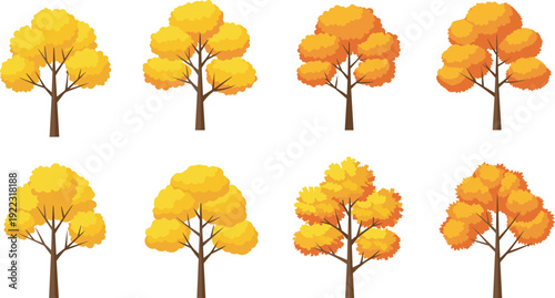 Collection of yellow and orange autumn trees with fall foliage for nature landscape environmental design and seasonal botanical vector illustrations
