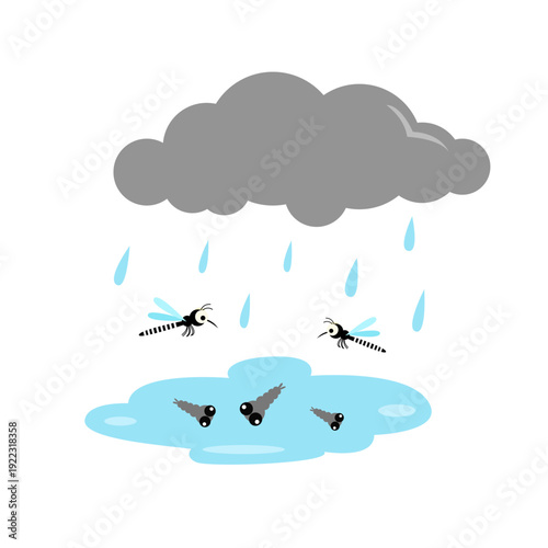 mosquitoes control. dengue fever and zika infection concept