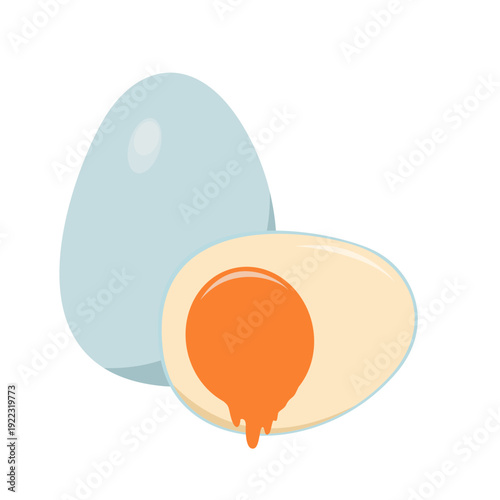 illustration of salted eggs  duck