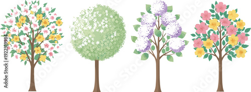 Set of four beautiful spring blooming trees with colorful pink yellow and purple flowers isolated on a white background for design