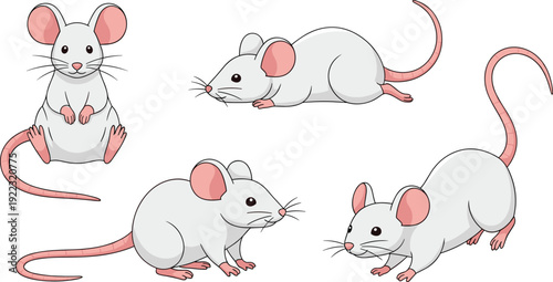 Flat vector illustration set of a cute white mouse or laboratory rat in various poses including sitting standing and crawling for animal character design.