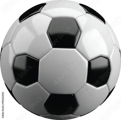 Shiny black and white soccer ball