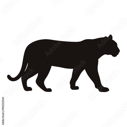 Silhouette of a large cat walking gracefully in a black vector illustration