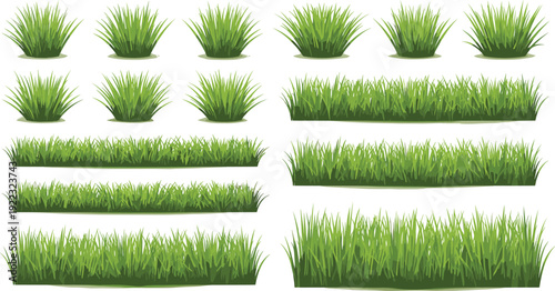 Green grass collection set, realistic lawn and meadow plants, fresh garden foliage elements isolated for landscape design