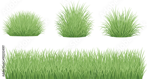 Green grass lawn border and bush set, fresh meadow plants collection, natural flat vector illustration isolated on white
