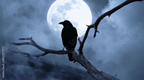 Ravens Night Watch - A Silhouette Against the Moonlit Sky.