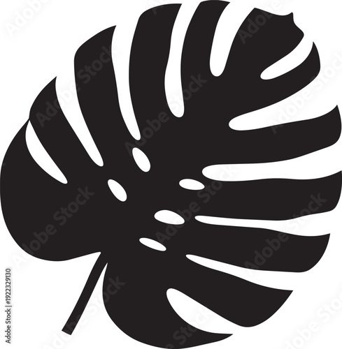 A black silhouette of a monstera leaf on a white background isolated on transparent background, Vector