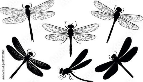 Dragonfly Silhouettes Vector Set Flying, Perched, and Crawling Insects
