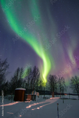 Stunning Aurora Borealis dancing over frozen Lake Inari and snowy forest in Ivalo, Finnish Lapland