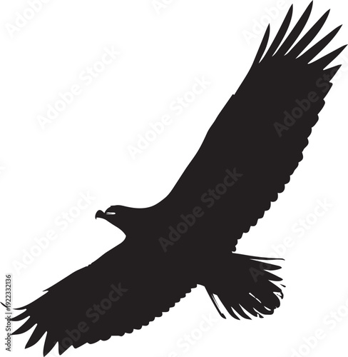 A large black bird of prey in flight isolated on transparent background, Vector