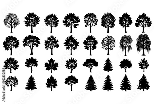Black Tree Silhouette Collection Vector Set with Diverse Forest and Botanical Shapes Isolated on White Background