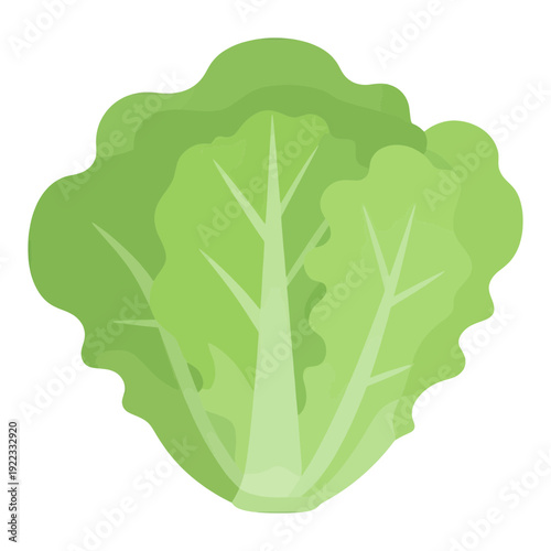 Green Lettuce Leaf Vector Icon