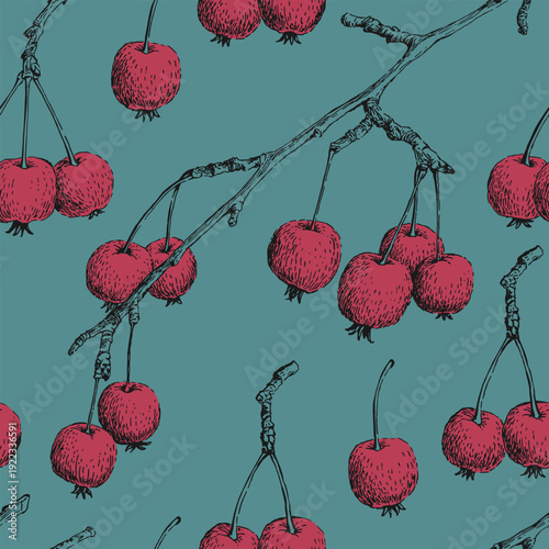 Seamless pattern with paradise apples. Hand drawn vector illustration.