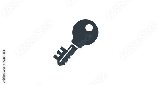 A single metal house key.