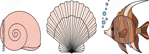 Elegant vector illustration of a spiral snail shell, a fan-shaped scallop seashell, and a striped tropical angelfish with bubbles for marine life and coastal branding.