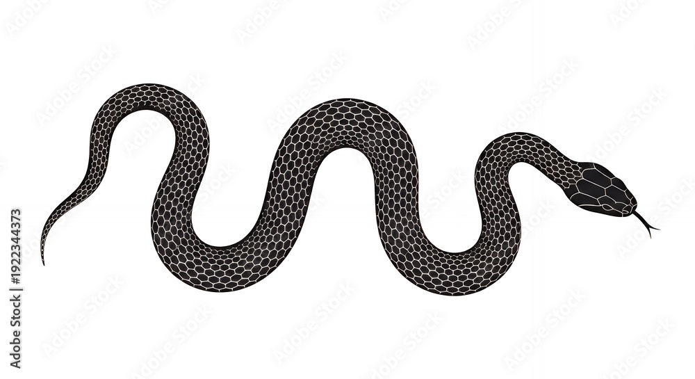 Fototapeta premium Vector illustration of a black snake featuring a unique white honeycomb scale pattern. This high-quality graphic is designed for edgy branding, modern tattoo stencils, and wildlife education