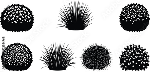 Flowering bush and ornamental grass silhouettes set, decorative garden shrub collection, black flat vector illustration isolated on white
