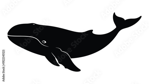 A large black whale swimming in the ocean isolated on white background, Vector