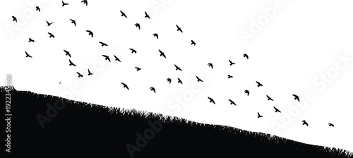 Flying birds over grassy hill silhouette landscape, nature scene isolated for outdoor design, flat vector illustration