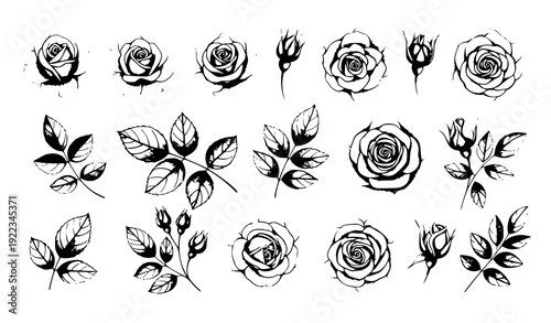 Watercolor pink rose floral element set spring flowers leaves vector illustration for wedding cards