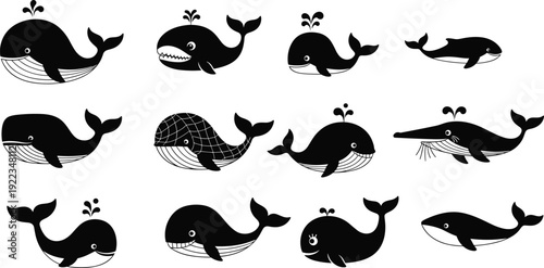 Cute whale cartoon collection, black and white sea animal vector illustration set isolated on white background for kids marine design