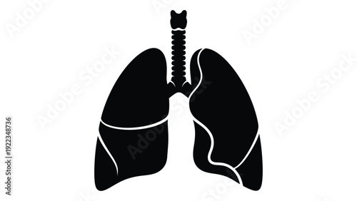 A black and white illustration of human lungs isolated on white background, Vector