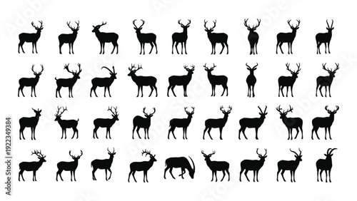 A collection of black silhouettes of deer in various poses isolated on white background, Vector