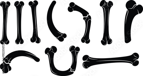 Human bone silhouette collection, black and white anatomy skeleton parts vector illustration isolated on white background for medical and education design