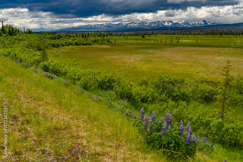 Alaska mountains, glacier, forest, view of Homer spit