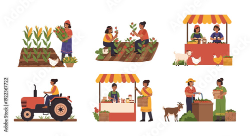 Farming and Agriculture Collection: Female Farmers Harvesting, Driving Tractor, and Selling Organic Produce at Local Market.