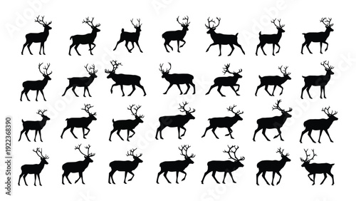 A group of deer silhouettes walking in different directions isolated on white background, Vector
