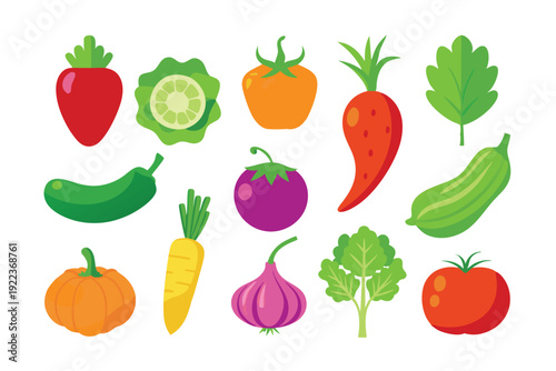 vegetable vector on white background