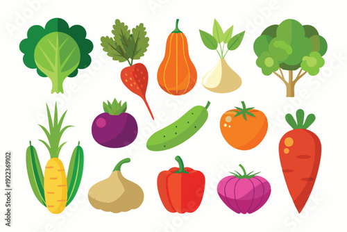 vegetable vector on white background