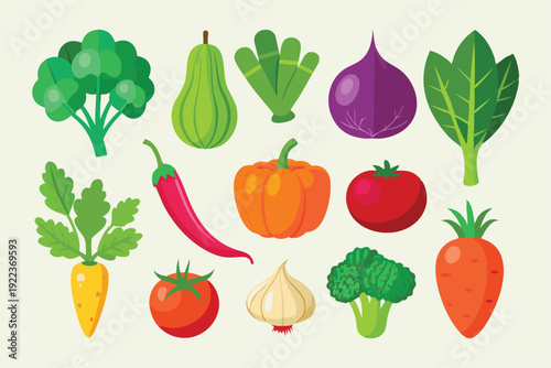 vegetable vector on white background