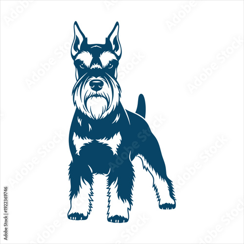 Schnauzer Dog Standing Detailed Vector Illustration