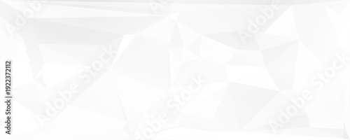 Poligon geometric background. Pastel grey white background. eps 10