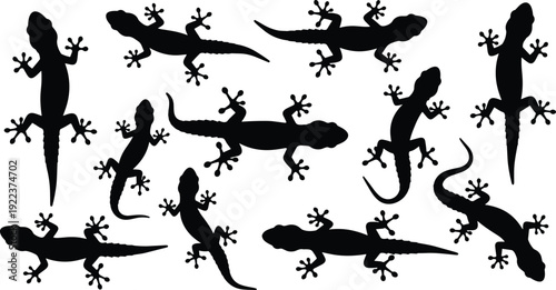 Black silhouette set of various geckos and lizards crawling and standing isolated on white background for nature, wildlife, and tropical.