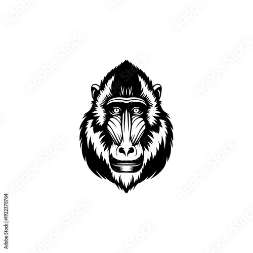 Minimalist graphic showing a placeholder labeled vector file