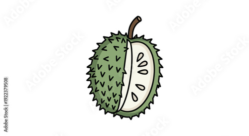 Hand-drawn Illustration of a Spiky Green Soursop Fruit Cut Open.