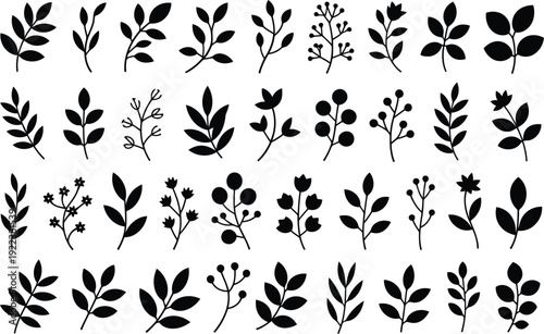Large collection of diverse black botanical leaf and berry branch silhouettes for natural decoration