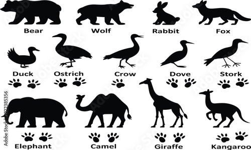 Black silhouette collection of wild animals including bear wolf rabbit fox duck ostrich crow dove stork elephant camel giraffe kangaroo with animal paw prints vector set