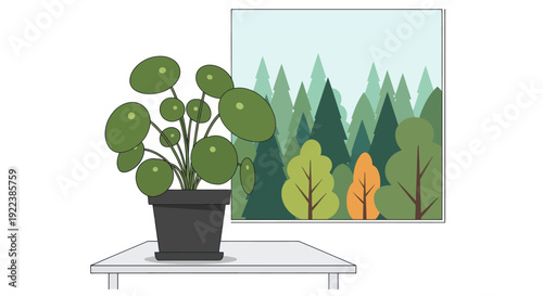 Stylized Pilea Peperomioides Plant in Black Pot on White Shelf.