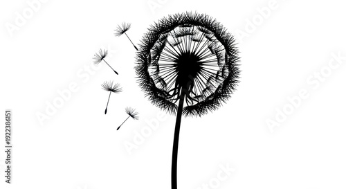 Black silhouette of a dandelion flower with delicate seeds blowing away in the wind.