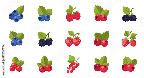 Fresh Berries Collection: Blueberries, Raspberries, Strawberries, Blackberries, Redcurrants
