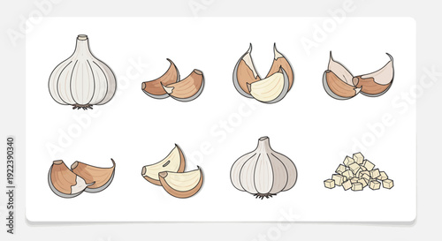 Garlic illustration: whole bulbs, cloves, and chopped pieces, hand-drawn style