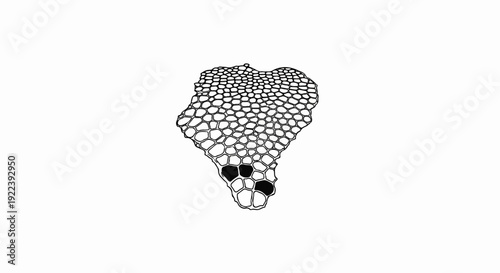 Stylized microscopic view of plant cells in an irregular cluster
