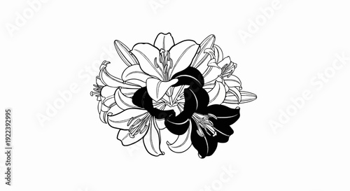 Stylized monochrome drawing of lily blossoms creating a floral arrangement
