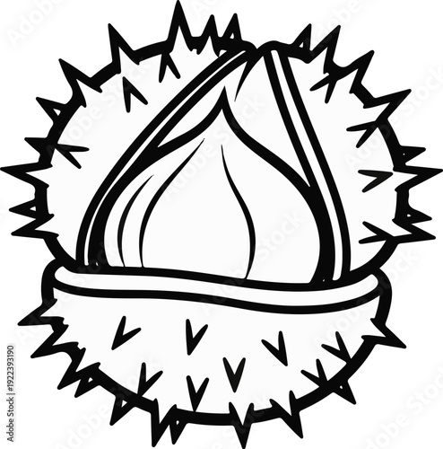 Stylized outline of a spiky seed pod with a smooth kernel inside