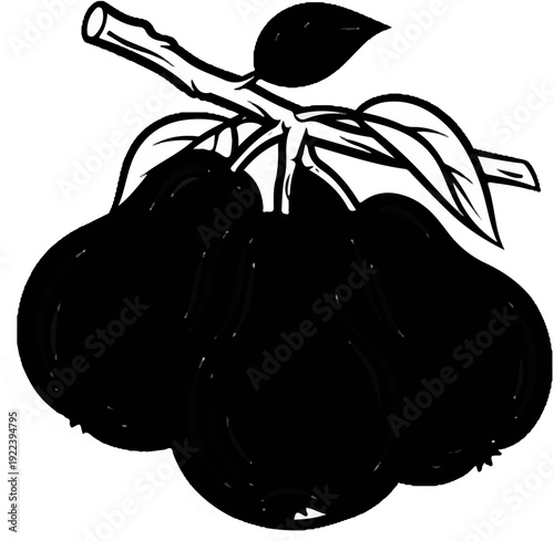 Three ripe pears on a branch with leaves, rendered in black and white outline