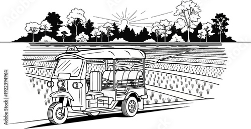 Tuk-tuk navigates a lush rice paddy landscape under a bright sun